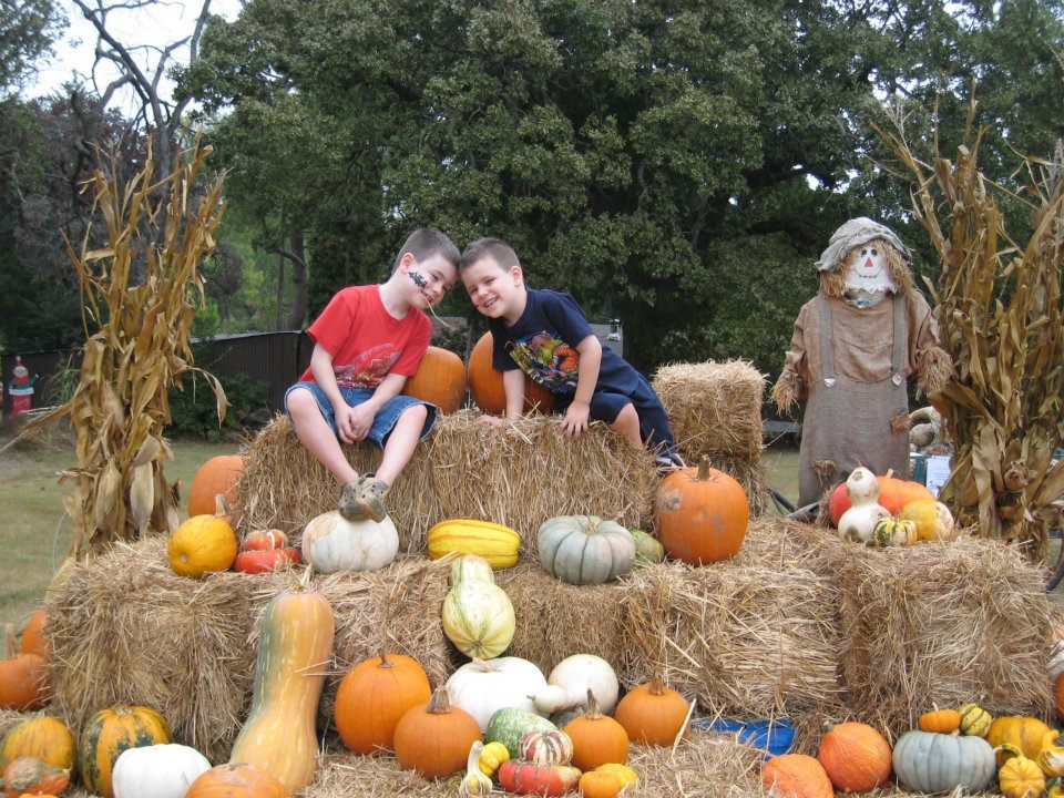 pumpkin patch at Elves Farm