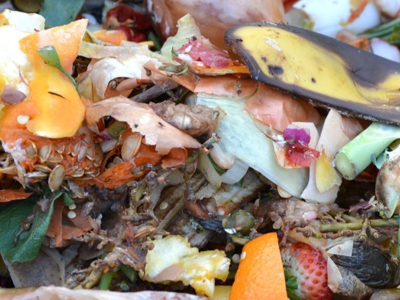 Food Waste workshop at River Legacy Nature Center