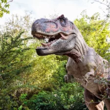 Dinosaurs Around the World, at Fort Worth Botanic Garden