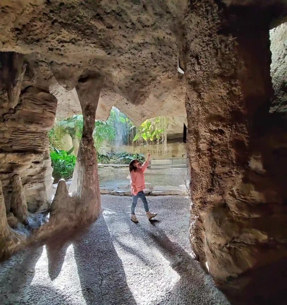 Cockrell Butterfly Center at Houston Museum of Natural Science, photo courtesy of Mike Rathke