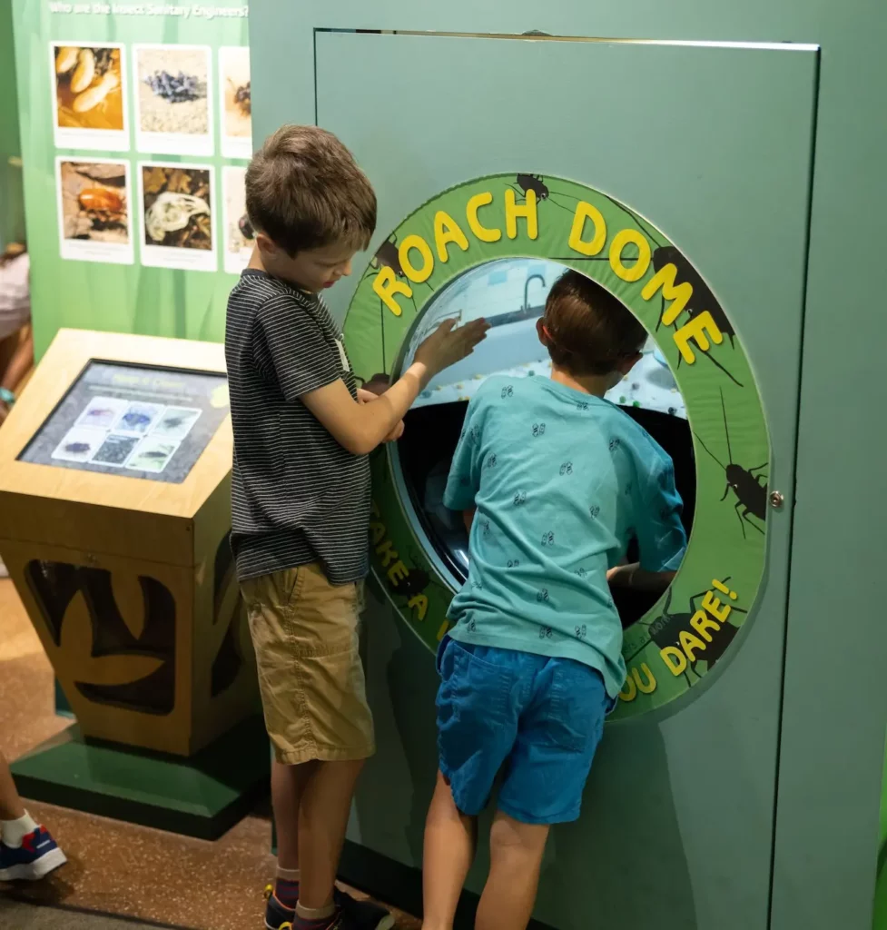 Brown Hall of Entomology at Cockrell Butterfly Center, Photo courtesy of Houston Museum of Natural Science photographer Mike Rathke
