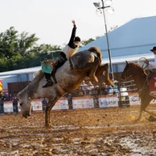 Rodeo Celina