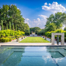 Summer at the Arboretum