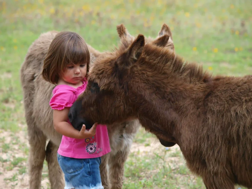 BlissWood Bed & Breakfast courtesy of Skeeter Hagler Photography