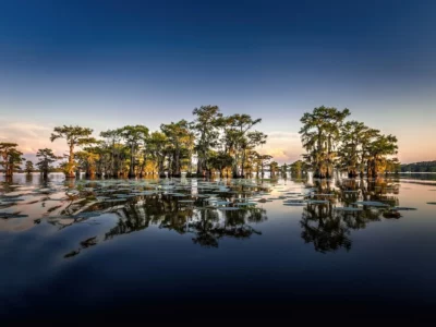 Caddo Lake State Park, iStock