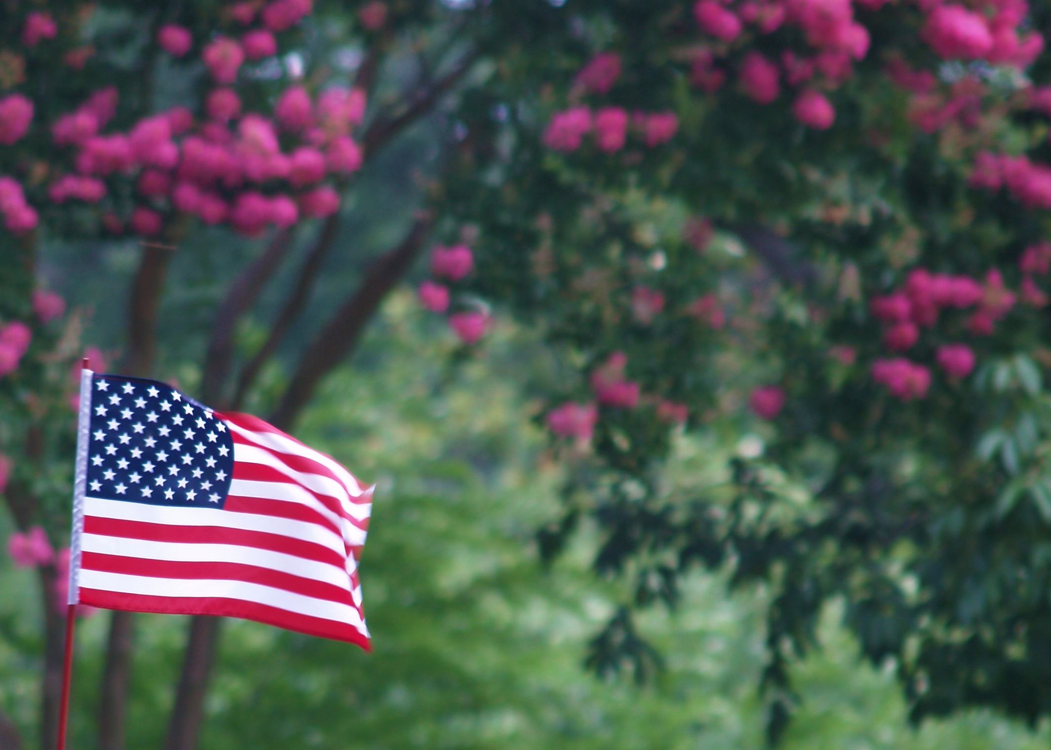 Independence Day Family Weekend, Dallas Arboretum and Botanical Garden