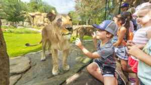 Fort Worth Zoo   1 1 300x169