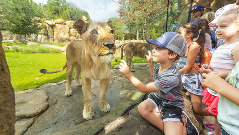 Fort Worth Zoo   1 1 768x433