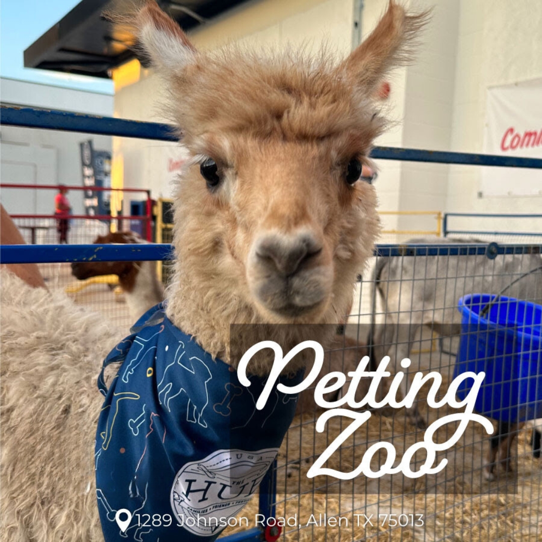 The HUB petting zoo
