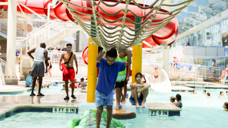 Cove at Lakefront   2 768x432