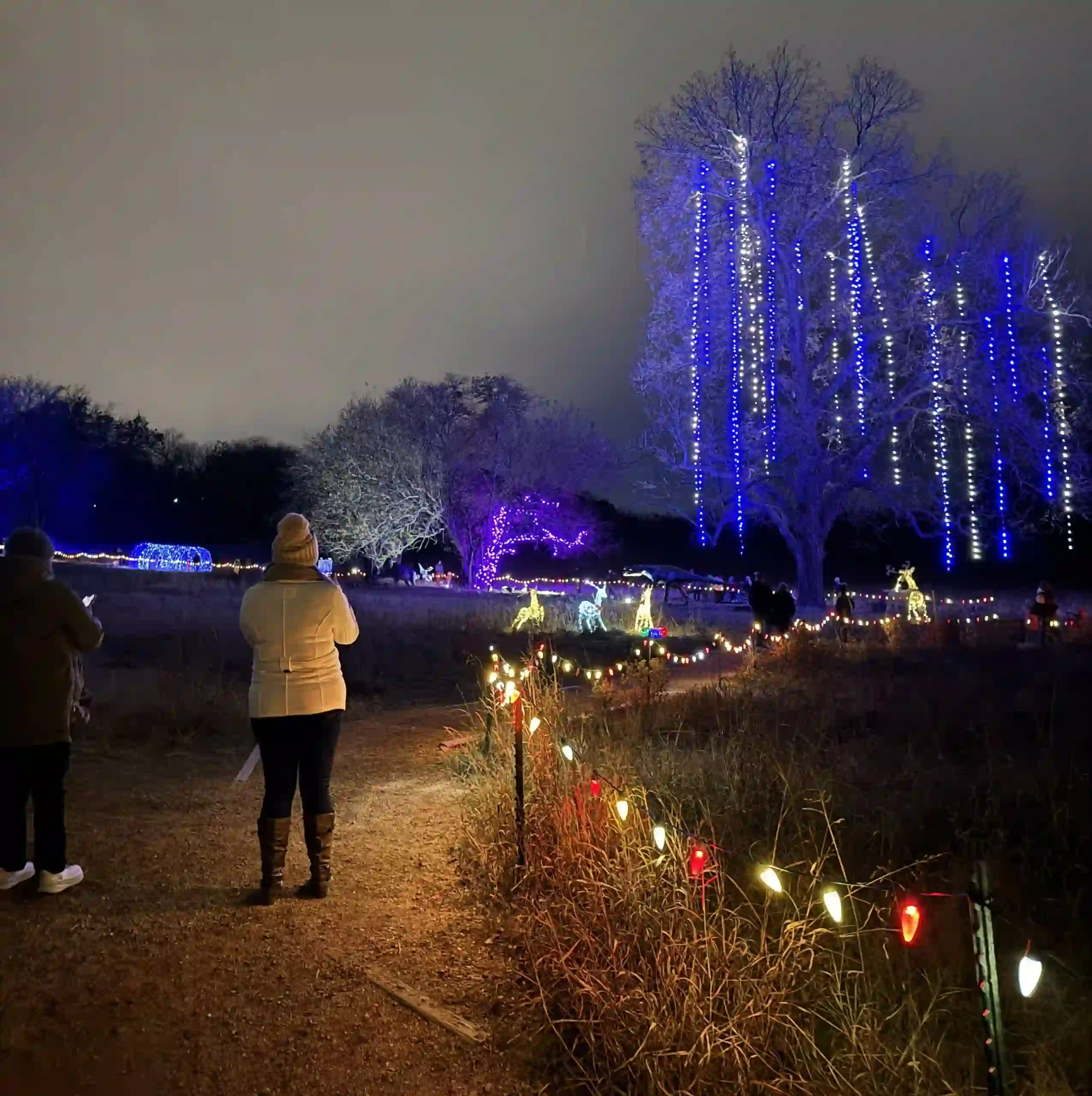 Holidays at the Heard, photo courtesy S. Jennings