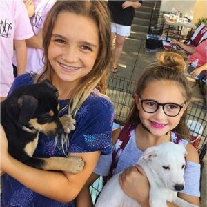 Visit Rockwall   2 300x300