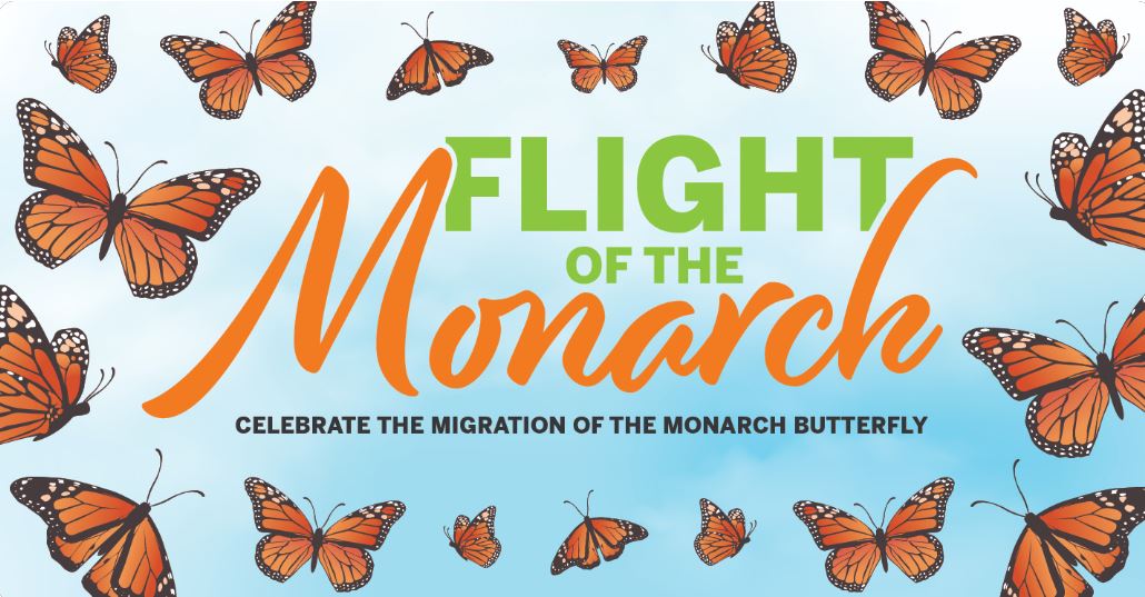 Flight on the Monarch, Grand Prairie