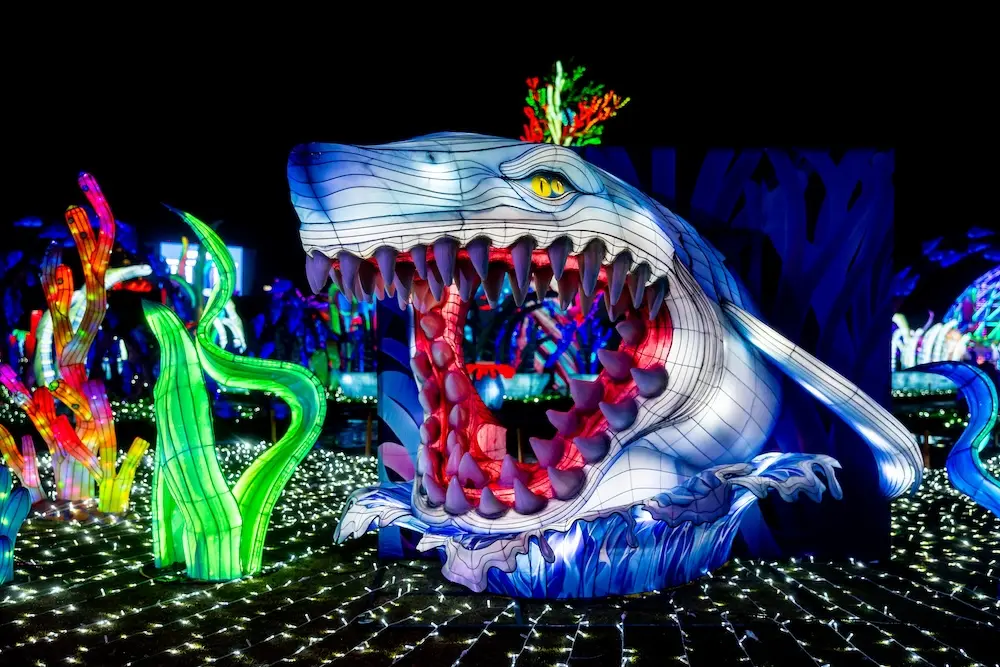 Tianyu Lights Festival, photo courtesy Tianyu Arts & Culture, Inc.