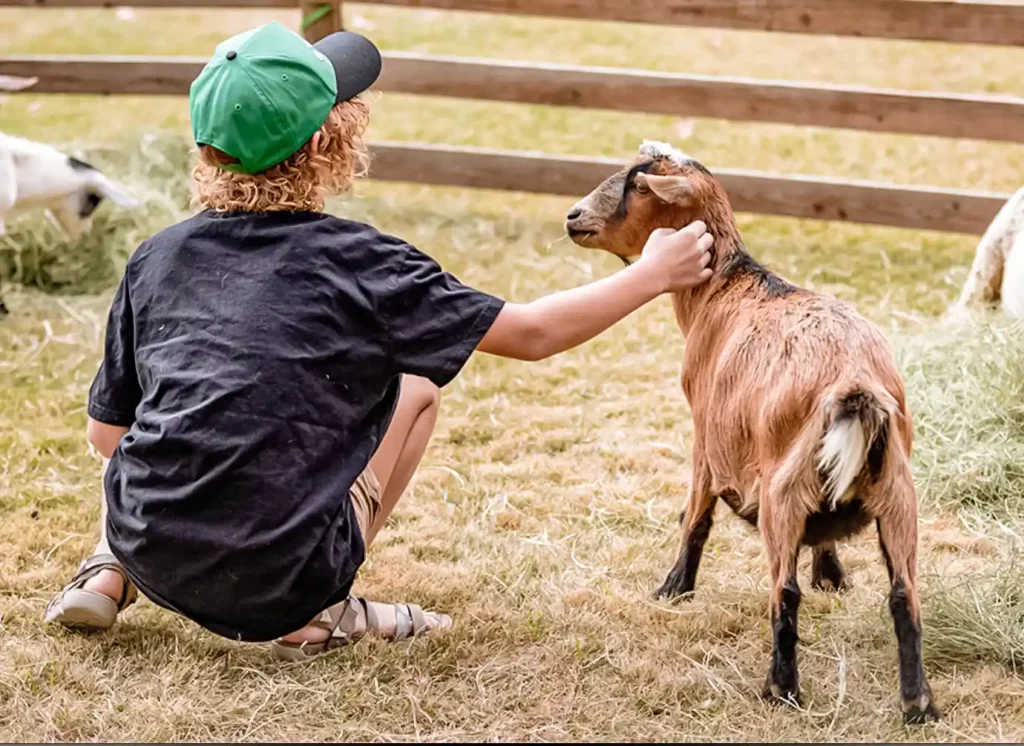 Country Critters Farm