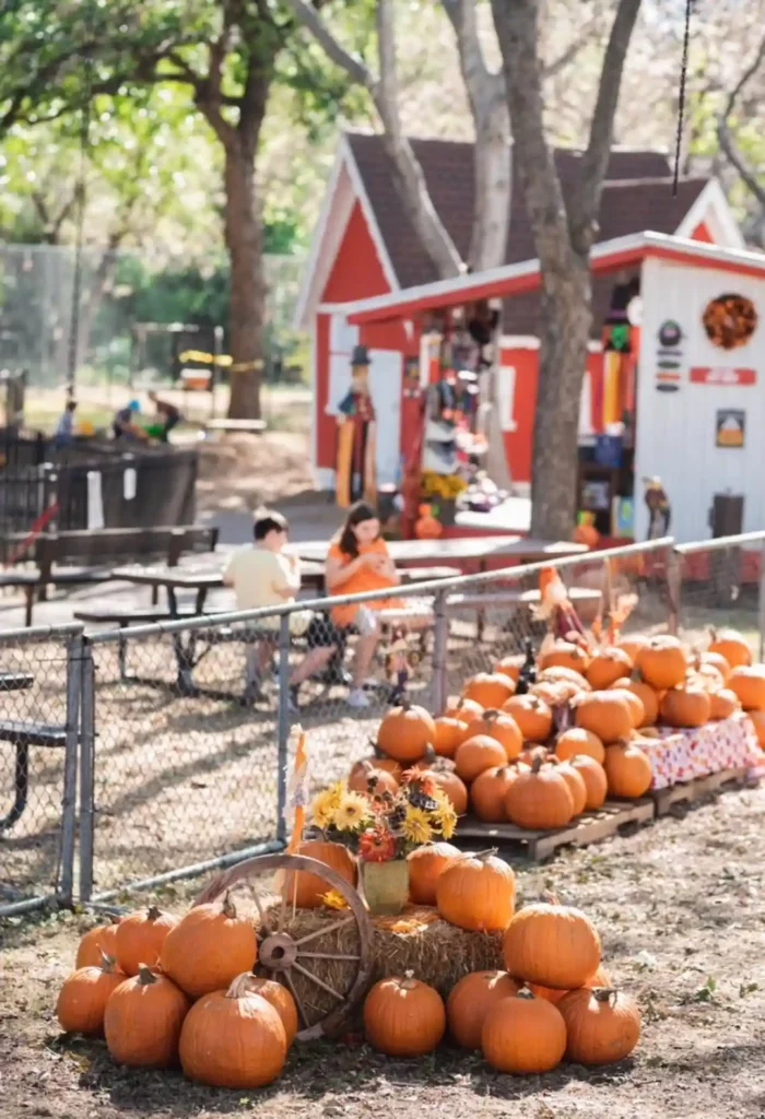 Animal Connection Experience at Fritz Park