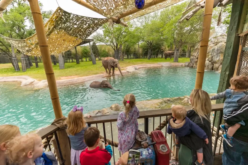Elephant Springs at Fort Worth Zoo