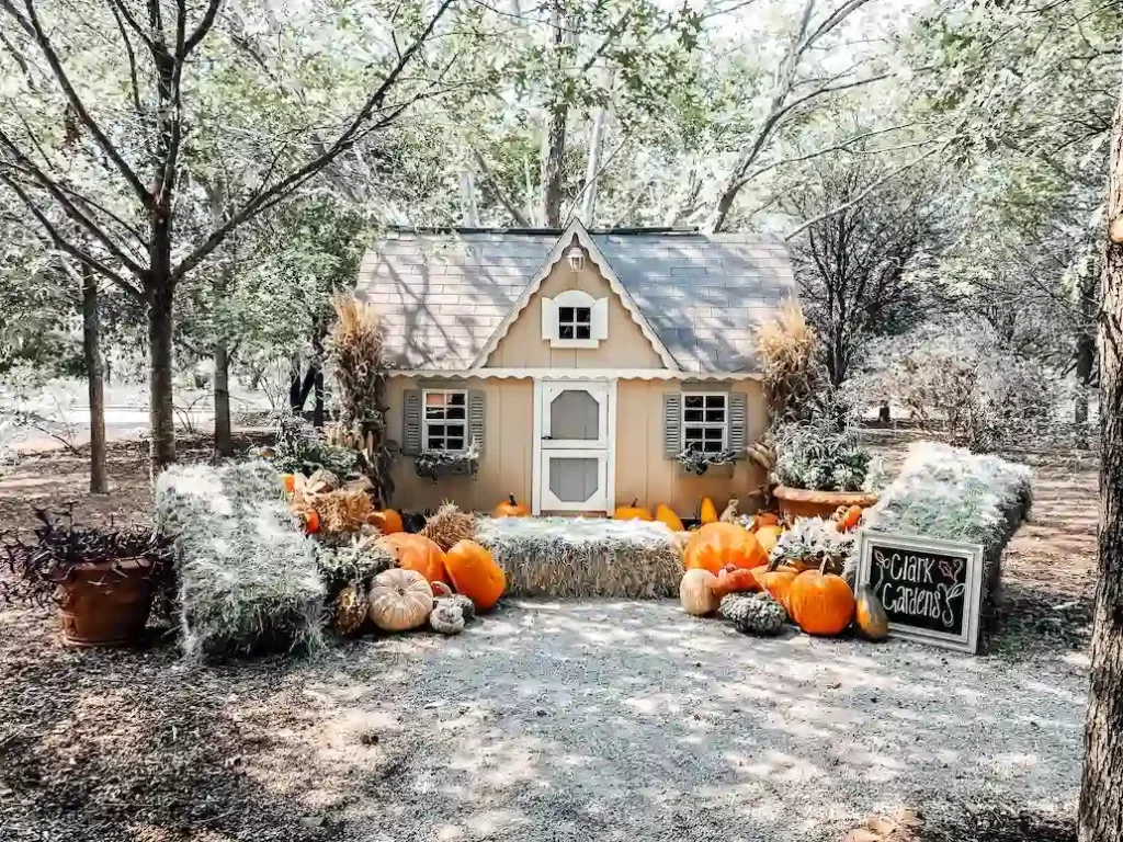 Clark Gardens Pumpkin Patch