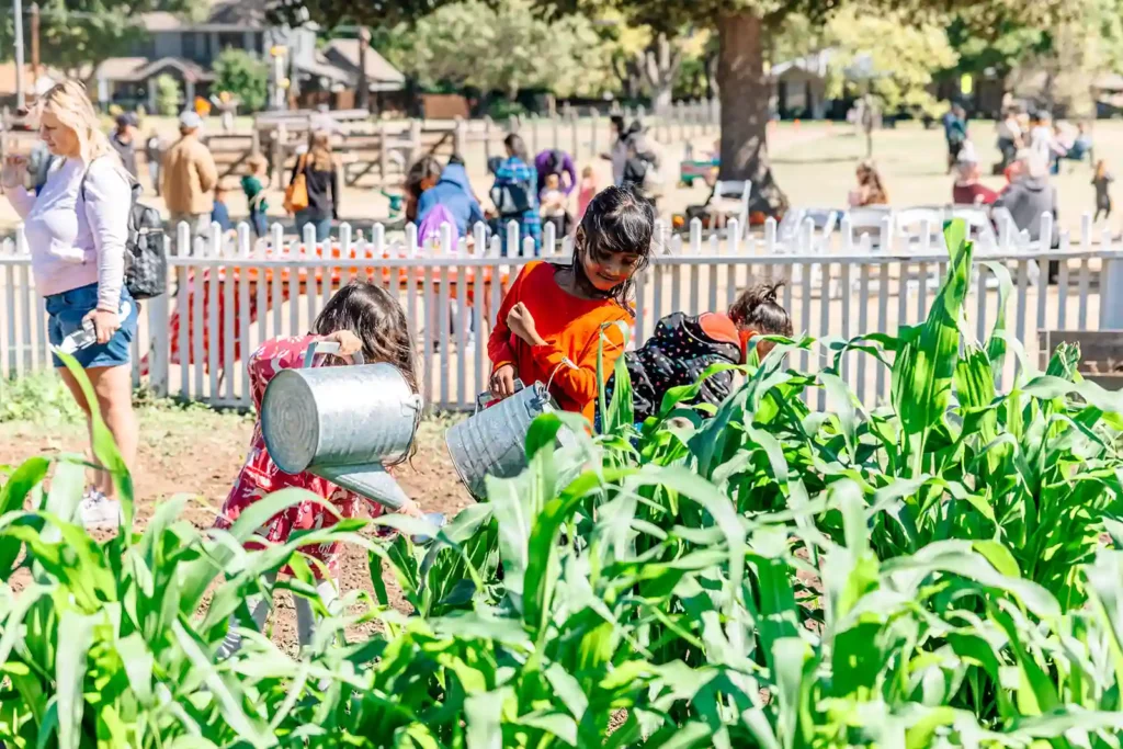 Fall Round-Up at Nash Farm, photo courtesy Grapevine Convention & Visitors Bureau