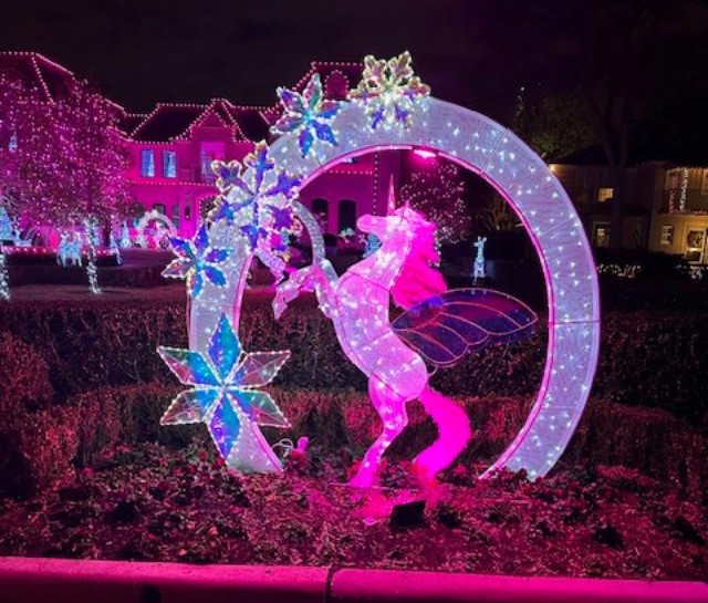 Family Friendly Christmas Lights & Treats Tour