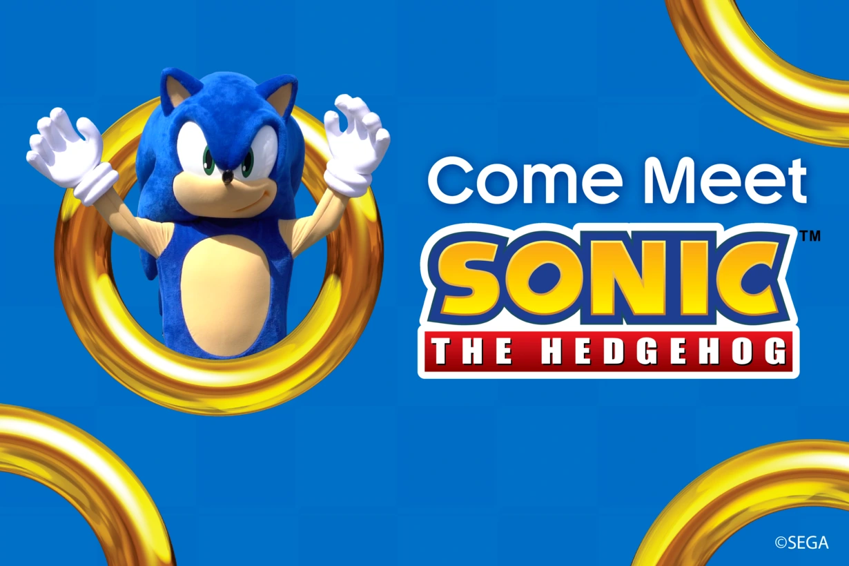 Sonic the Hedgehog character meet and greet