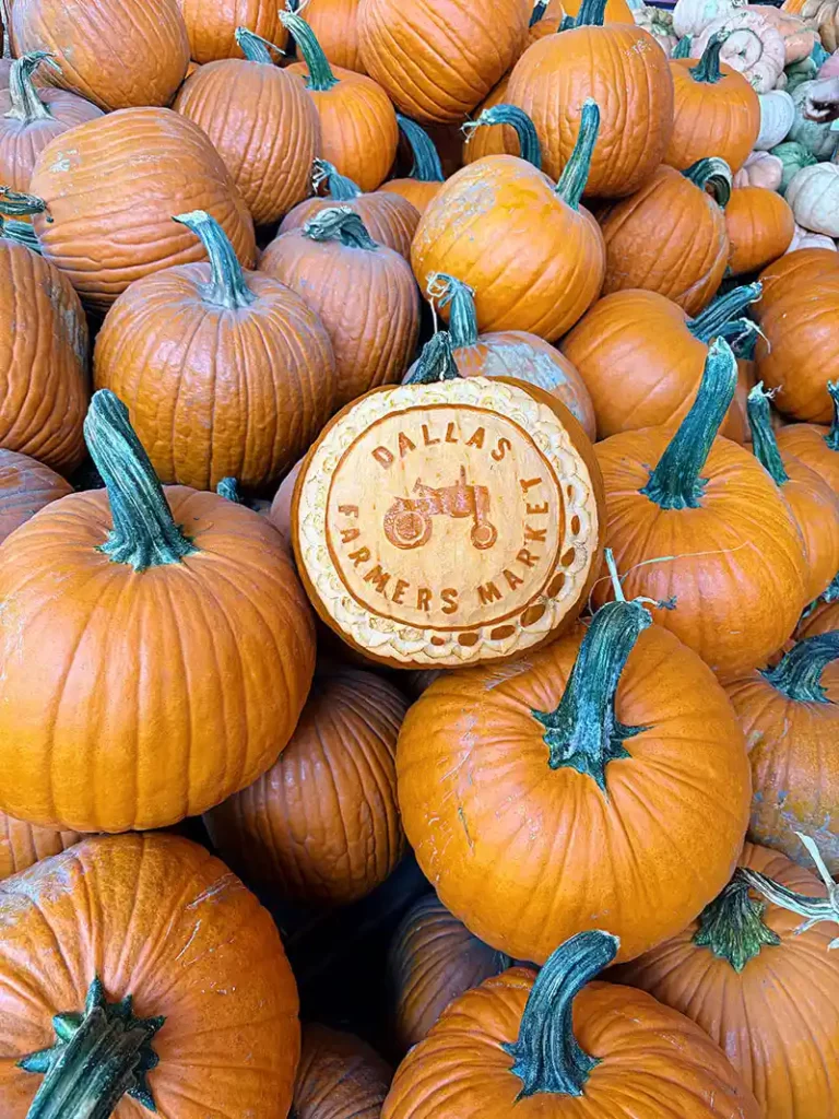 Pumpkin Patch at Dallas Farmers Market