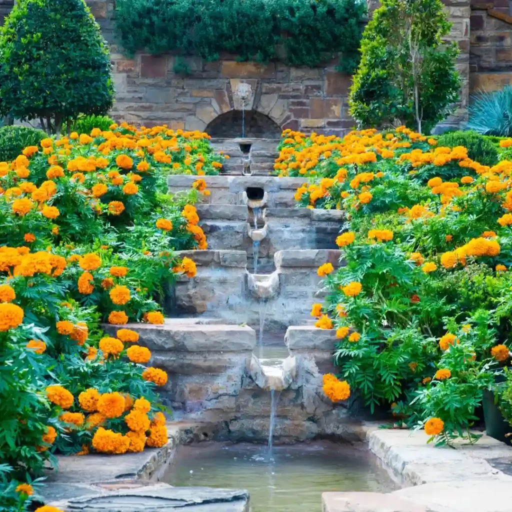 Celebración del Día de los Muertos, photo courtesy Fort Worth Botanic Garden