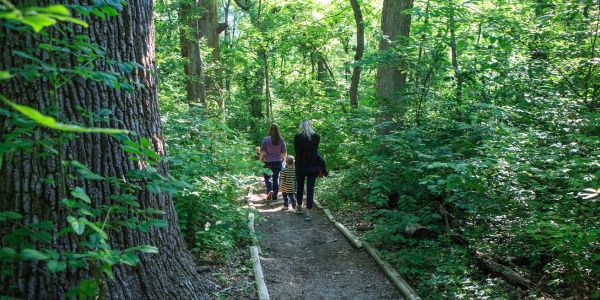 Heard Natural Science Museum and Wildlife Sanctuary, photo courtesy of S. Jennings