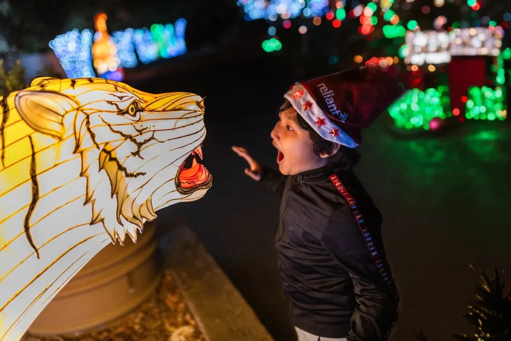 Dallas Zoo Lights, photo courtesy Dallas Zoo