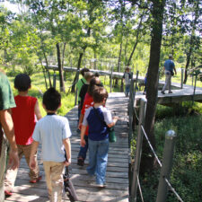 Winter Mini Camps at Heard