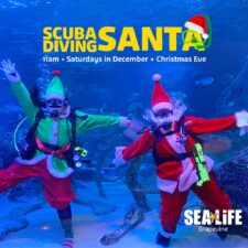 Scuba diving Santa Claus at Sea Life Grapevine Aquarium