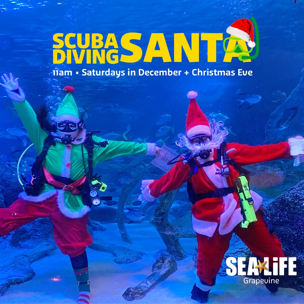 Scuba diving Santa Claus at Sea Life Grapevine Aquarium
