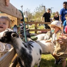 SaturYay at Kaleidoscope Park