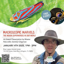 Macroscopic Marvels: The Hidden Superheroes in Our World at River Legacy Nature Center