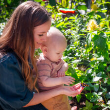 Butterflies in the Garden, Fort Worth Botanic Garden