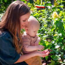 Butterflies in the Garden, Fort Worth Botanic Garden