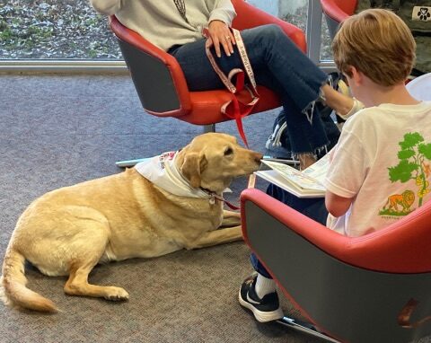 Read to Nellie, the therapy dog, at Preston Royal Branch at Dallas Public Library