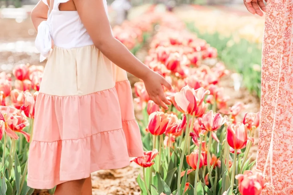 Tulipalooza, photo courtesy of Lauren Zoucha, Ellis County Minis