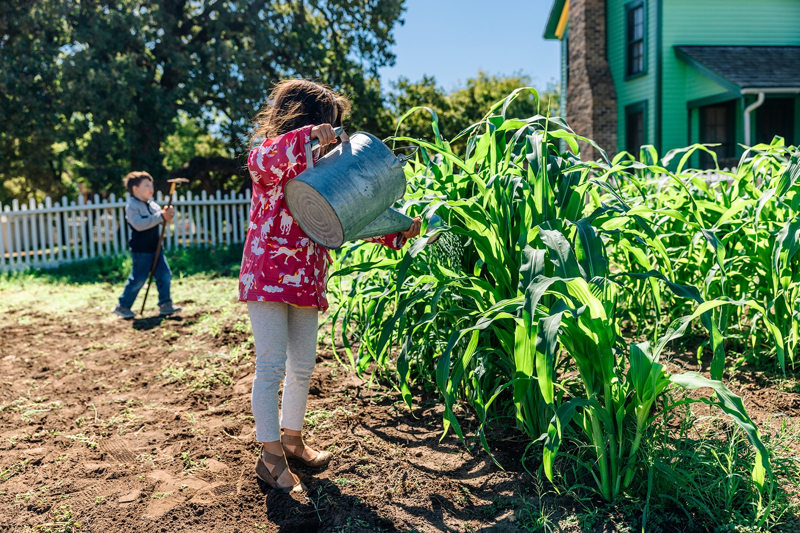 First Fridays at Nash Farm