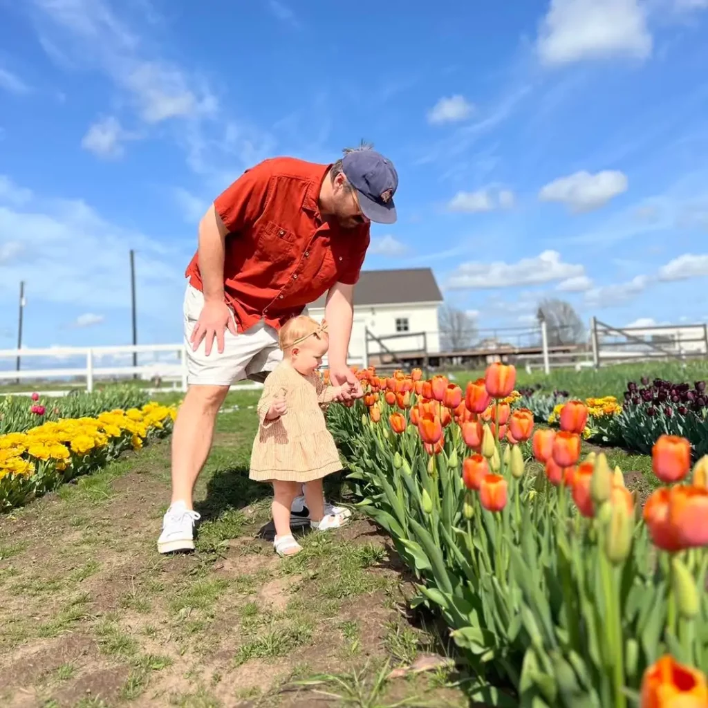 Hemingway Hill u-pick tulip flower farm east of Dallas