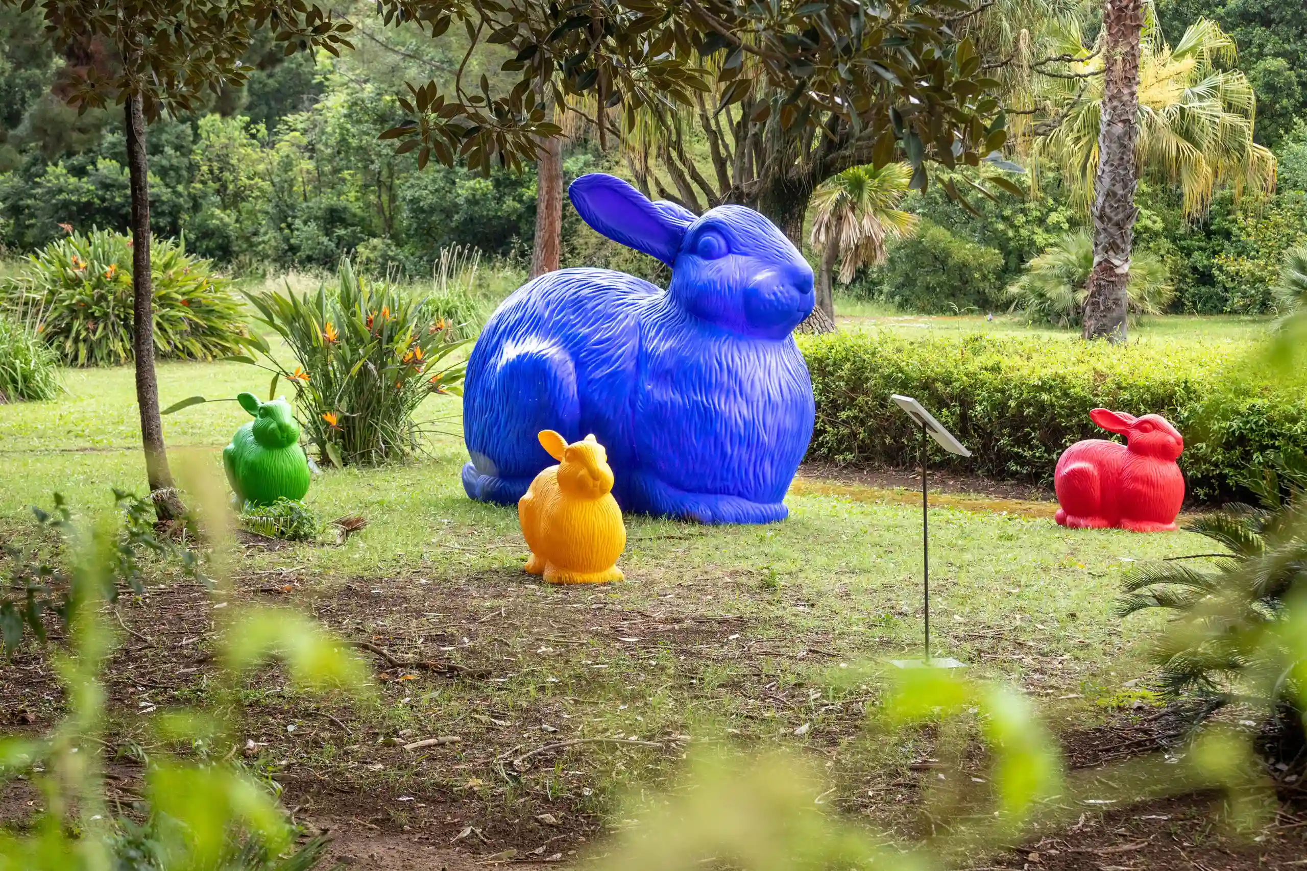 Cracking Art at Fort Worth Botanic Garden