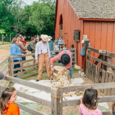 Spring Into Nash, at Nash Farm, photo courtesy of Grapevine CVB