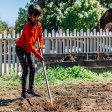 First Fridays at Nash Farm, photo courtesy of Grapevine CVB