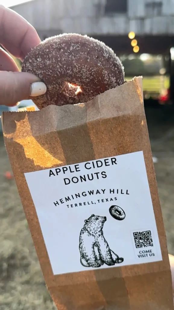 Homemade apple cider donuts at Hemingway Hill, a pick your own tulip farm in North Texas