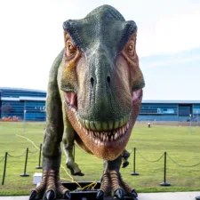 Dino Fest at EpicCentral