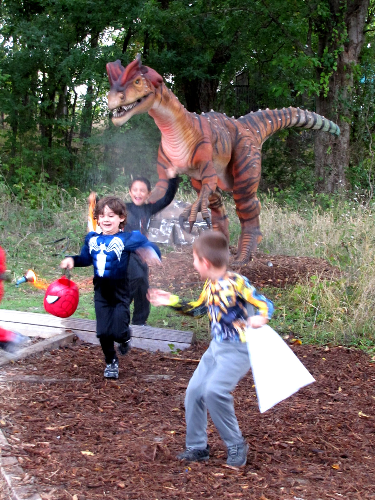 Halloween at the Heard, Heard Natural Science Museum & Wildlife Sanctuary