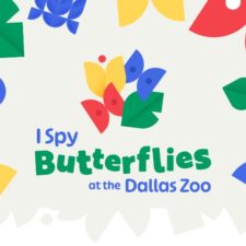 I Spy Butterflies exhibit at Dallas Zoo