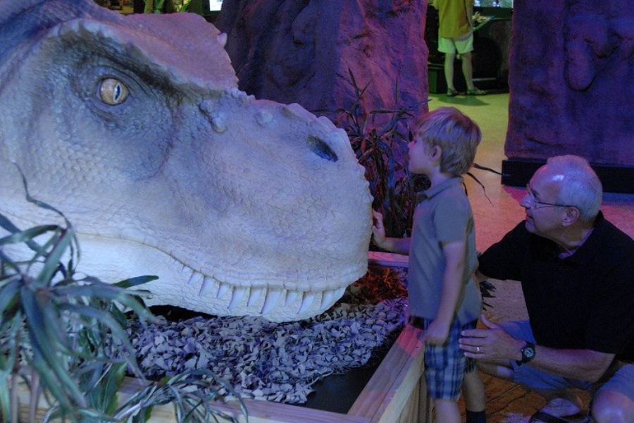 All Tracks Lead to Grapevine