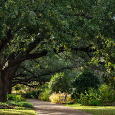 Fort Worth Botanic Garden