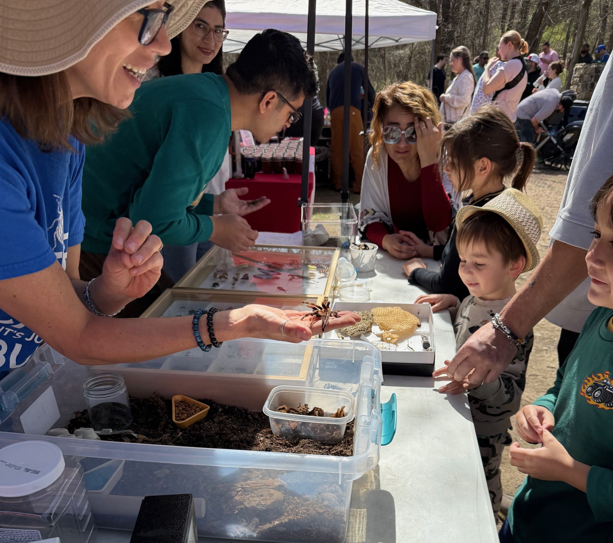 Bug-a-thon, photo courtesy S. Jennings